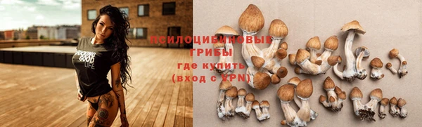 первитин Арсеньев