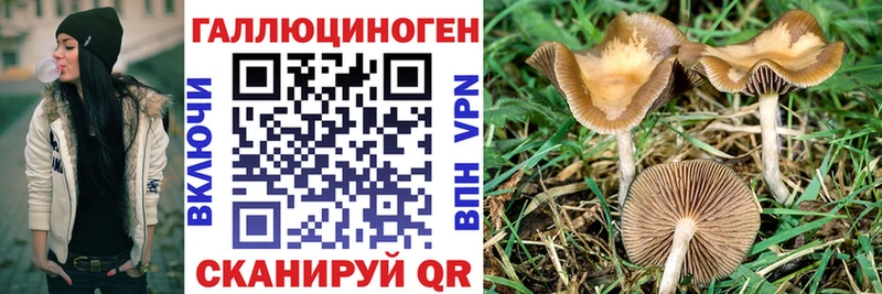 shop состав  Лодейное Поле  Псилоцибиновые грибы Cubensis 