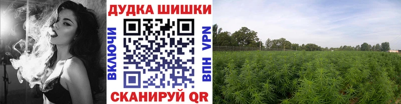 наркотики  ОМГ ОМГ рабочий сайт  МАРИХУАНА план  Лодейное Поле 